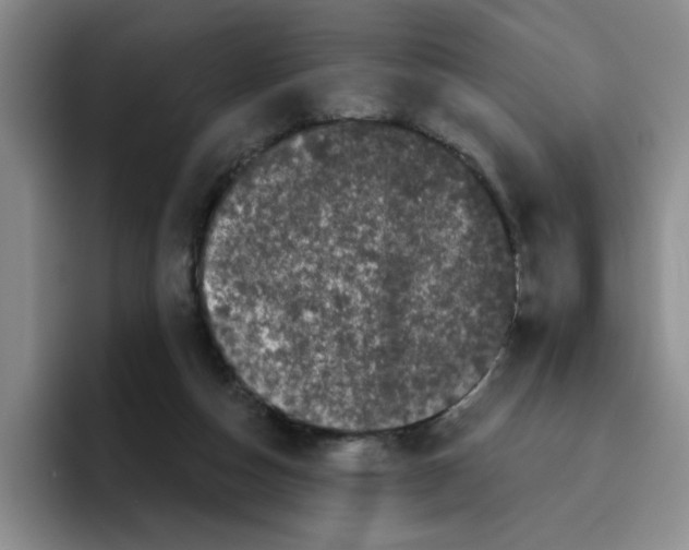 X0000096410162200802211233