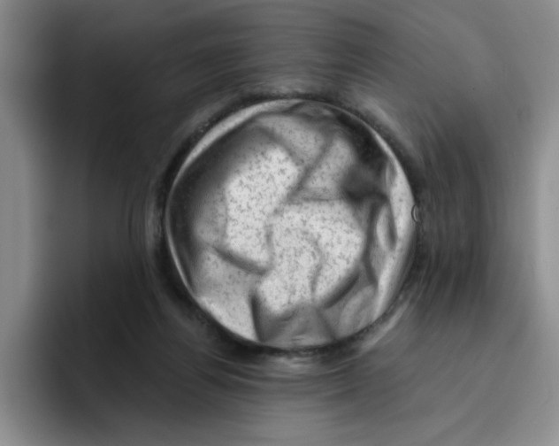 X0000096410164200802211233