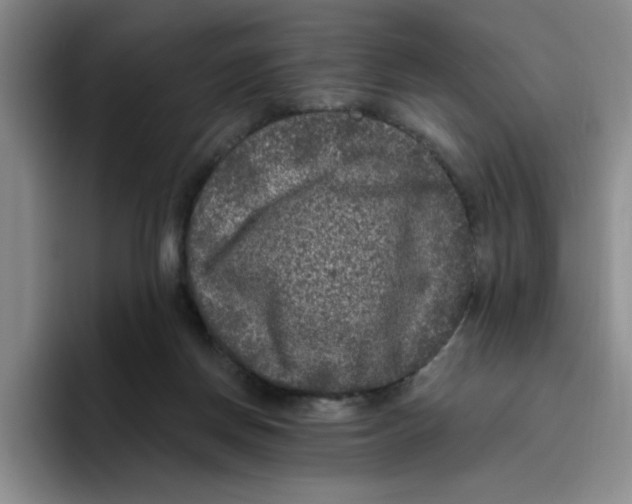 X0000096410166200802211233