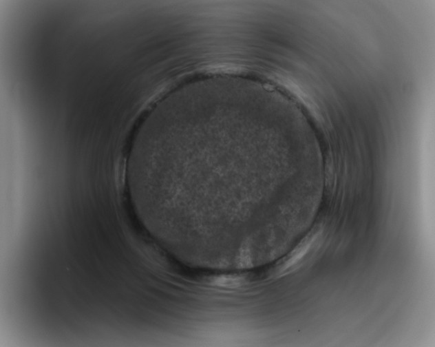 X0000096410168200802211233
