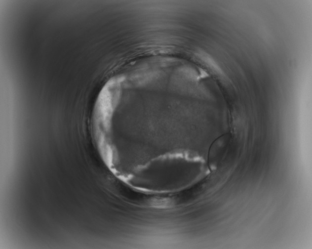 X0000096410169200802211233