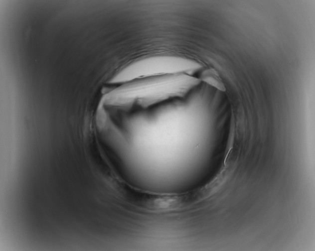 X0000096410172200802211233