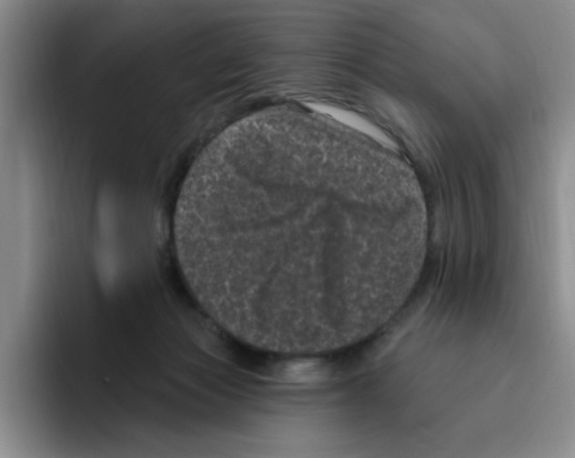 X0000096410173200802211233