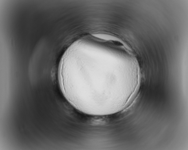 X0000096410175200802211233