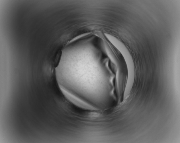 X0000096410176200802211233