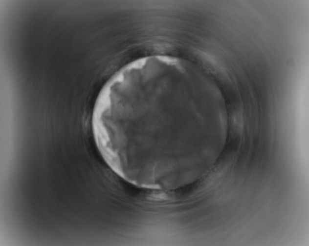 X0000096410177200802211233