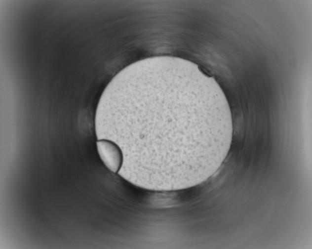 X0000096410179200802211233