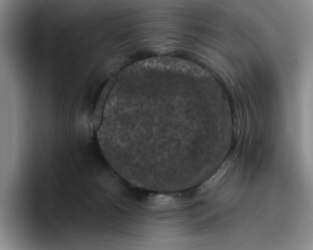 X0000096410180200802211233