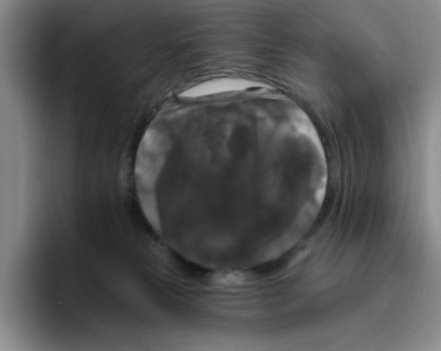 X0000096410181200802211233