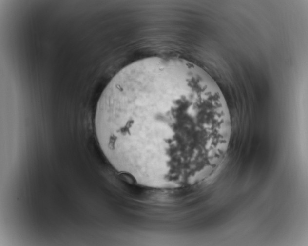 X0000096410182200802211233