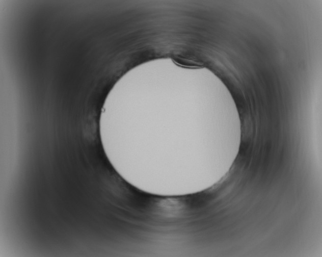 X0000096410183200802211233