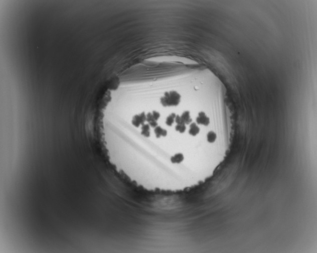 X0000096410185200802211233