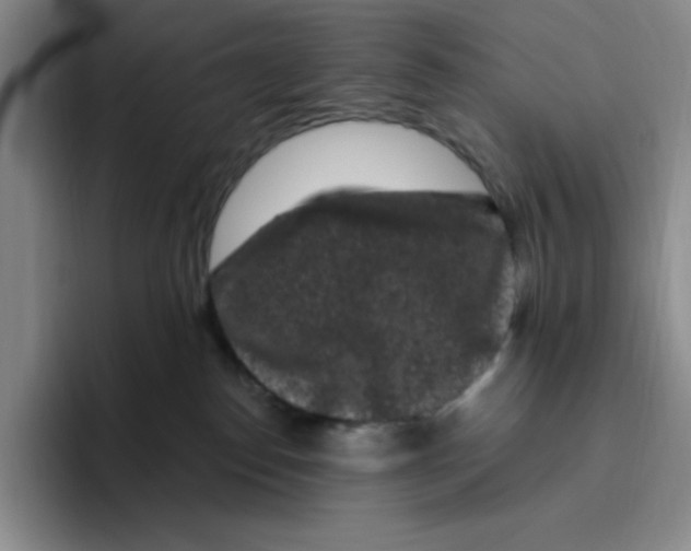X0000096410186200802211233
