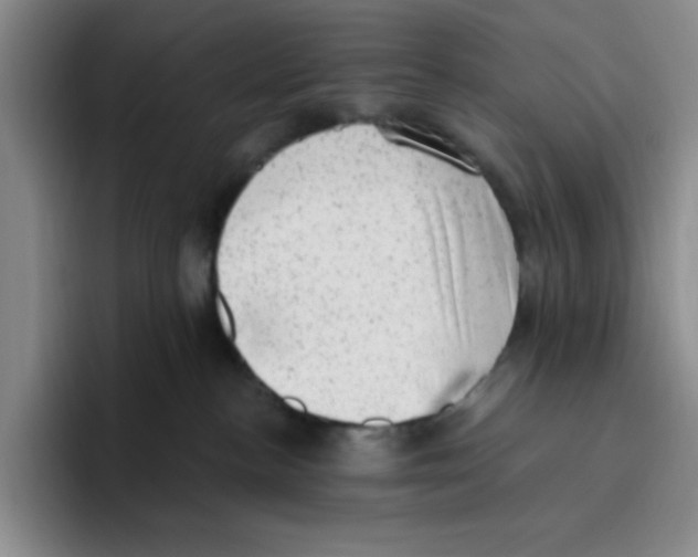 X0000096410188200802211233
