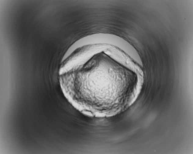 X0000096410189200802211233