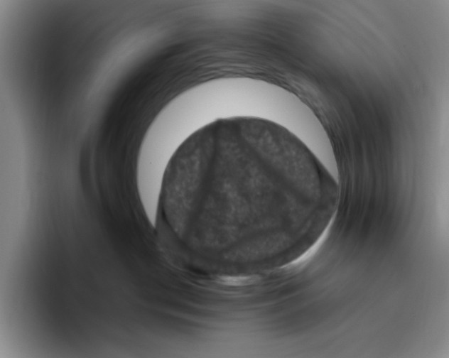 X0000096410190200802211233