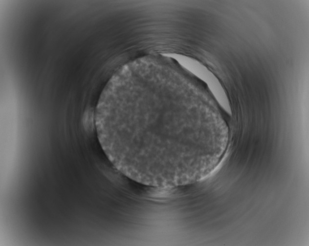 X0000096410191200802211233