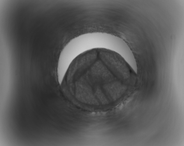 X0000096410192200802211233