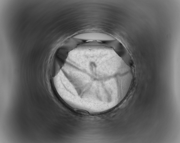 X0000096410193200802211233