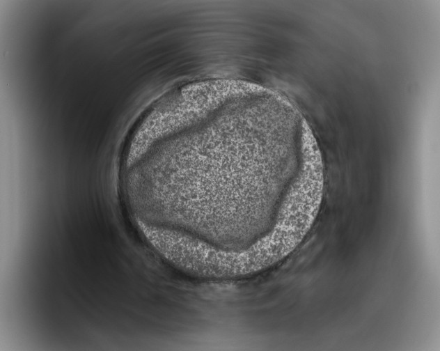 X0000096410194200802211233