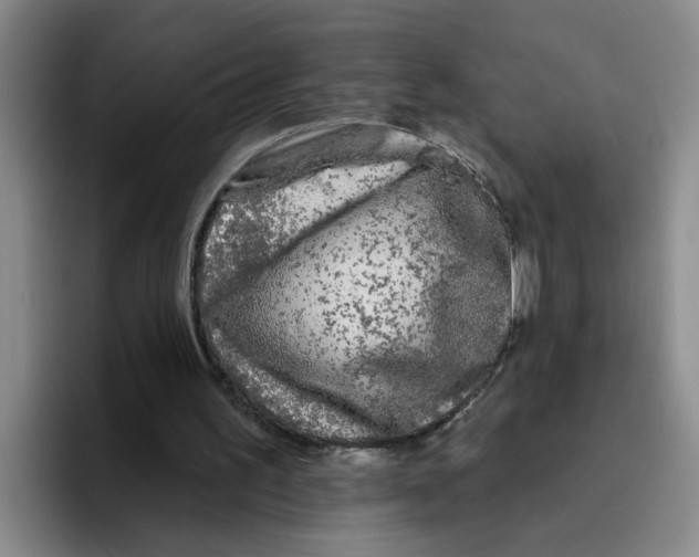 X0000096410195200802211233