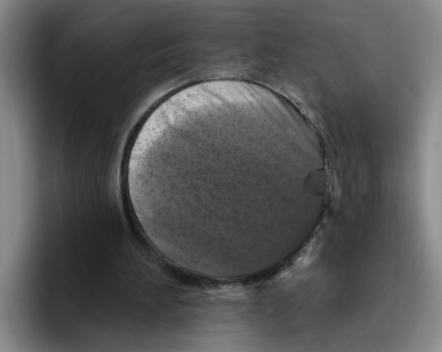 X0000096410196200802211233