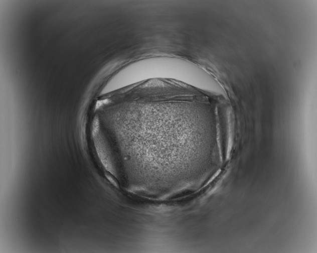 X0000096410197200802211233