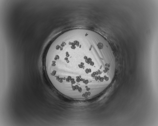 X0000096410198200802211233
