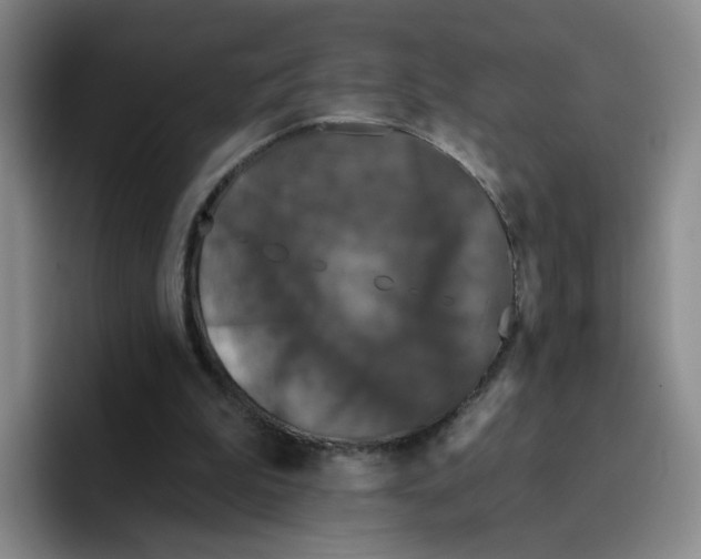 X0000096410199200802211233