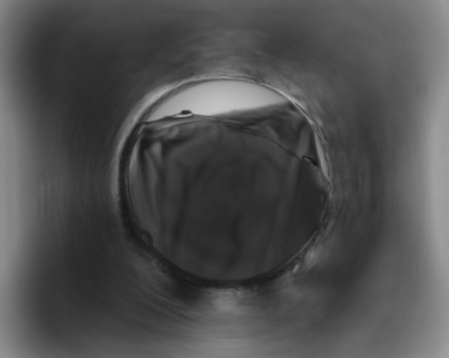 X0000096410200200802211233