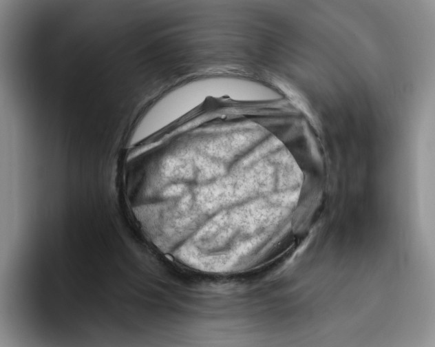 X0000096410201200802211232