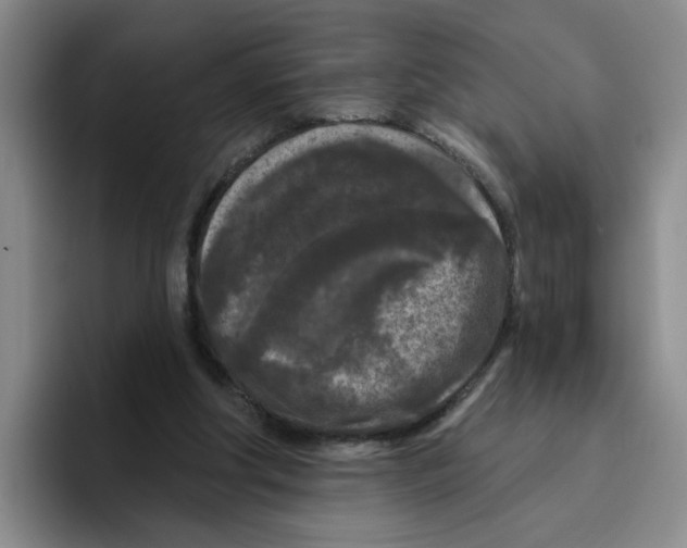 X0000096410202200802211232