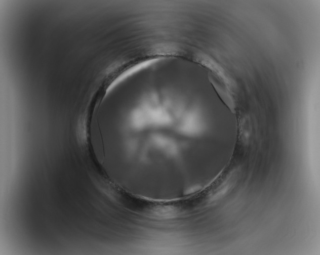 X0000096410203200802211232