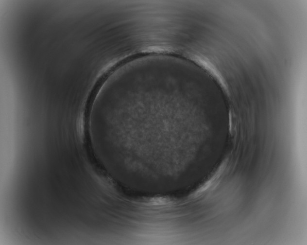 X0000096410204200802211232