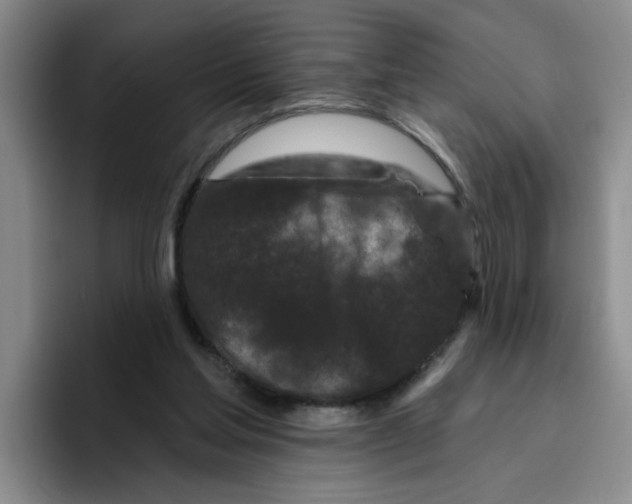 X0000096410205200802211232