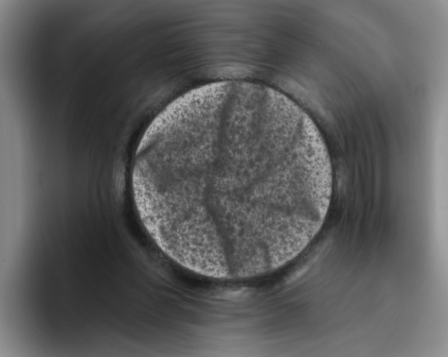 X0000096410206200802211232