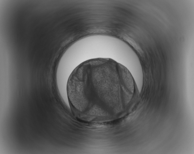 X0000096410207200802211232