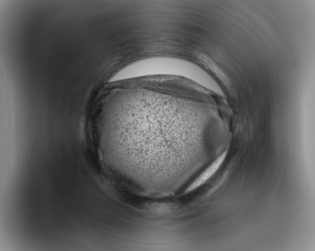 X0000096410209200802211232