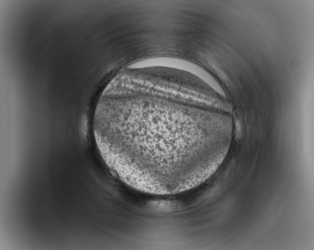 X0000096410211200802211232