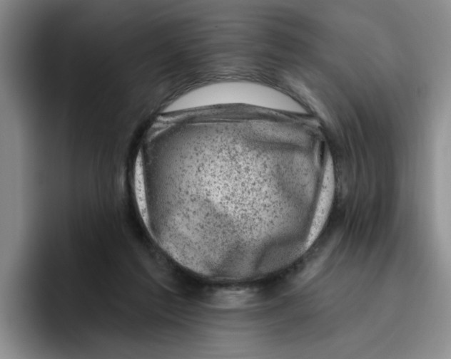 X0000096410213200802211232