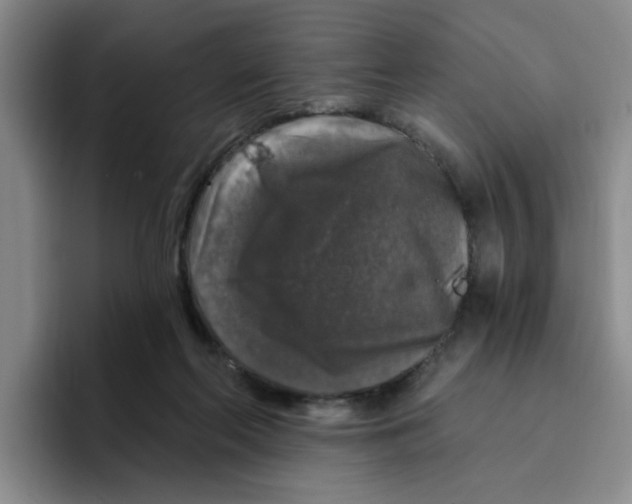 X0000096410214200802211232