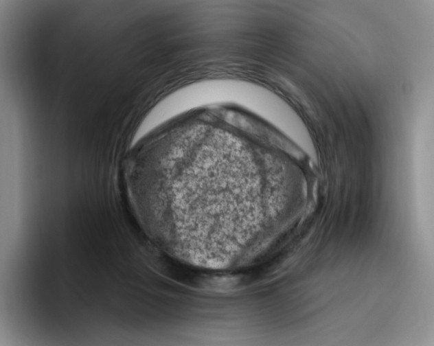 X0000096410217200802211232