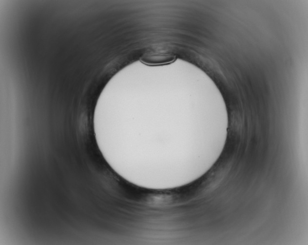 X0000096410220200802211232