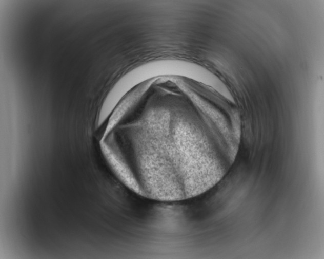 X0000096410221200802211232