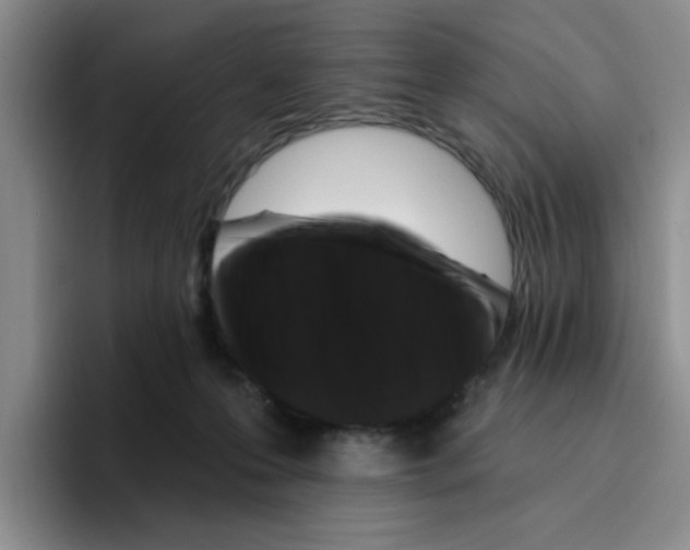 X0000096410223200802211232