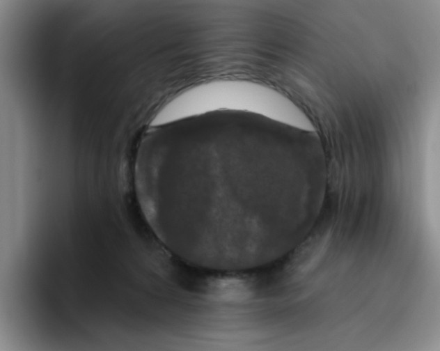X0000096410224200802211232