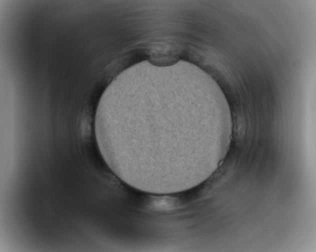 X0000096410226200802211232