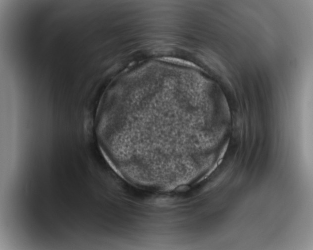 X0000096410228200802211232