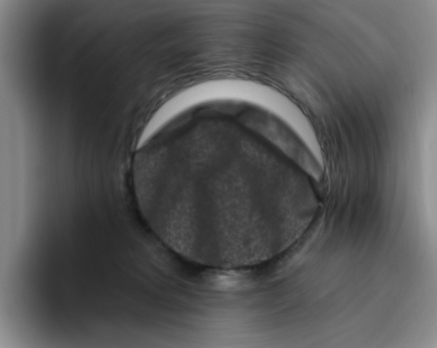 X0000096410229200802211232