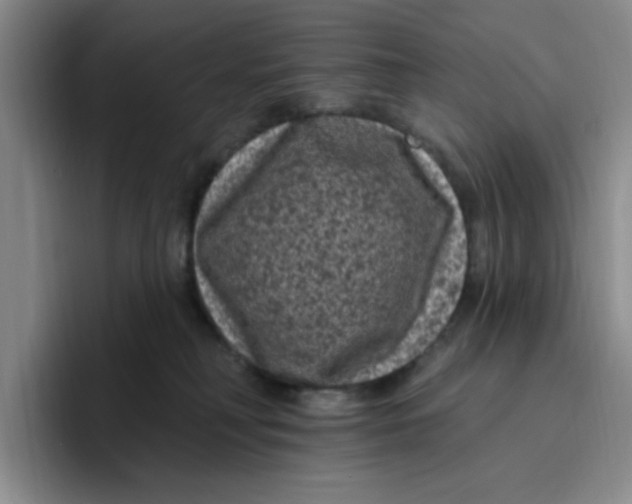 X0000096410230200802211232